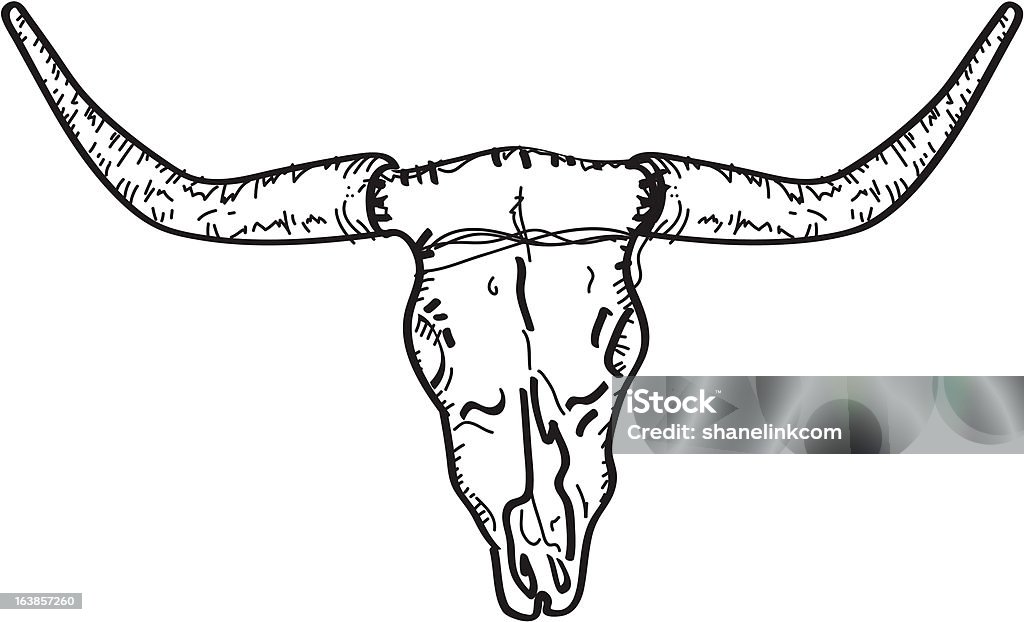 Vaca crânio ilustração - Vetor de Gado Texas Longhorn Steer royalty-free