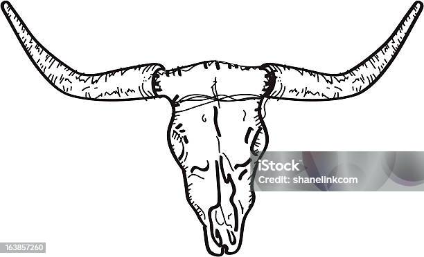 Vetores de Vaca Crânio Ilustração e mais imagens de Gado Texas Longhorn Steer - Gado Texas Longhorn Steer, Ilustração e Pintura, Agricultura