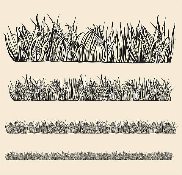 Variable grass modules. Drawing