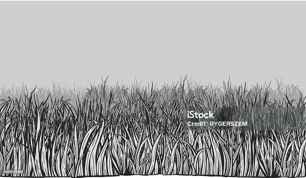 Grass field - Lizenzfrei Bildhintergrund Vektorgrafik