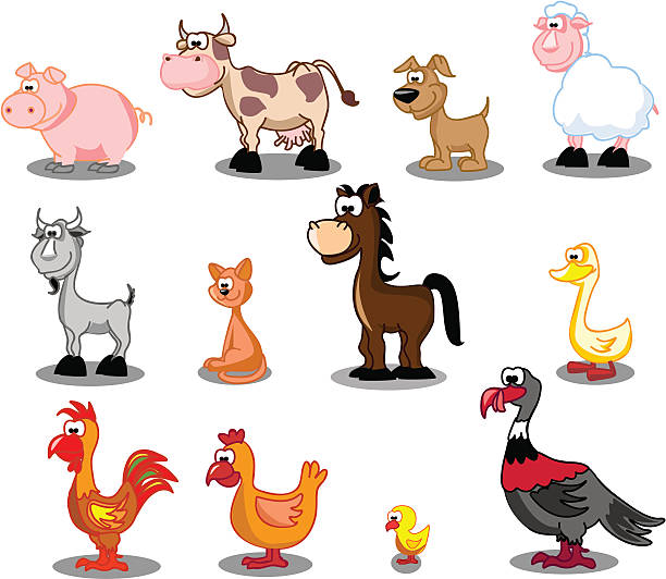 istock Domestic animals living on the farm 163857614