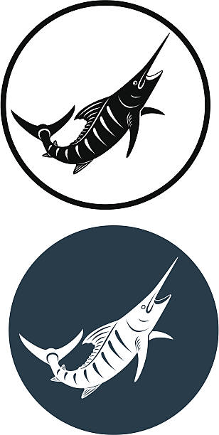 marlin the figure shows a marlin fish black marlin stock illustrations