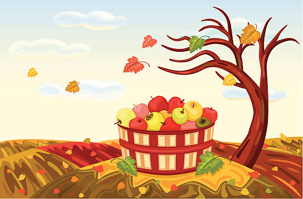 Rich apple harvest in autumn vector art illustration