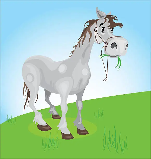 Vector illustration of country horse