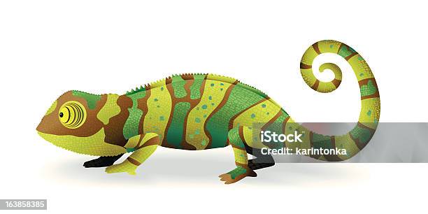 Chameleon - Stockowe grafiki wektorowe i więcej obrazów Kameleon - Kameleon, Zmieniać kolor, Gad