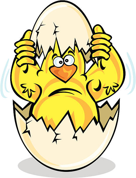 Easter chick & Egg Shell Cartoon Easter chick breaking out its shell ian stock illustrations