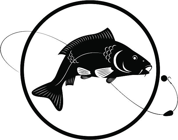 carp - trout fishing stock illustrations