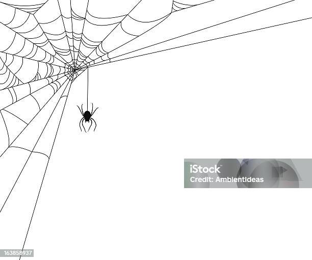 Spiderweb With Spider Stock Illustration - Download Image Now - Spider Web, Spider, White Background