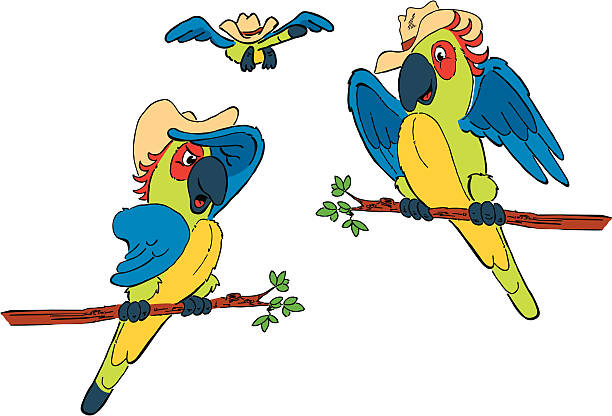 parrot vector art illustration