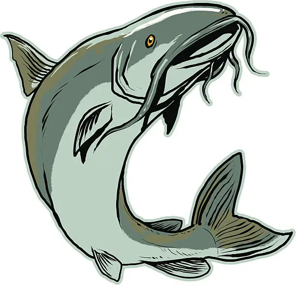 Vector illustration of Jumping Catfish