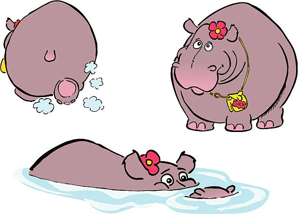 hippopotamus vector art illustration