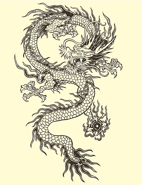 Dragon Tattoo Illustration Dragon Tattoo Illustration asian tattoos stock illustrations