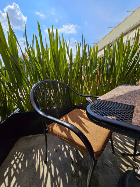 istock brown chairs outside green grass on the back and table 1638601888