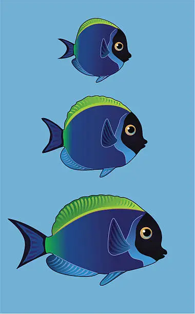 Vector illustration of Exotic fishes set one