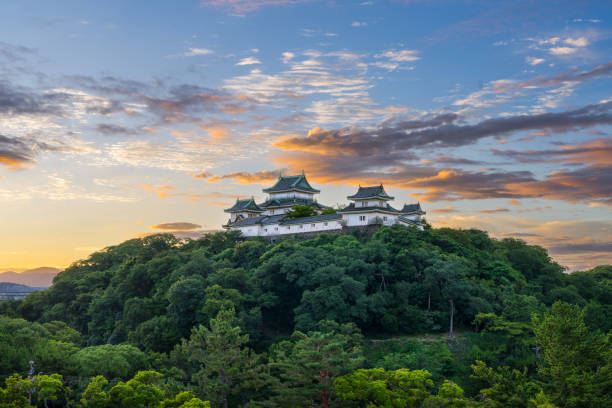Wakayama, Japan - July 19, 2023: The hilltop Wakayama Castle at dawn. The original structure was built in 1585-1586 and the current castle building dates from 1958.
