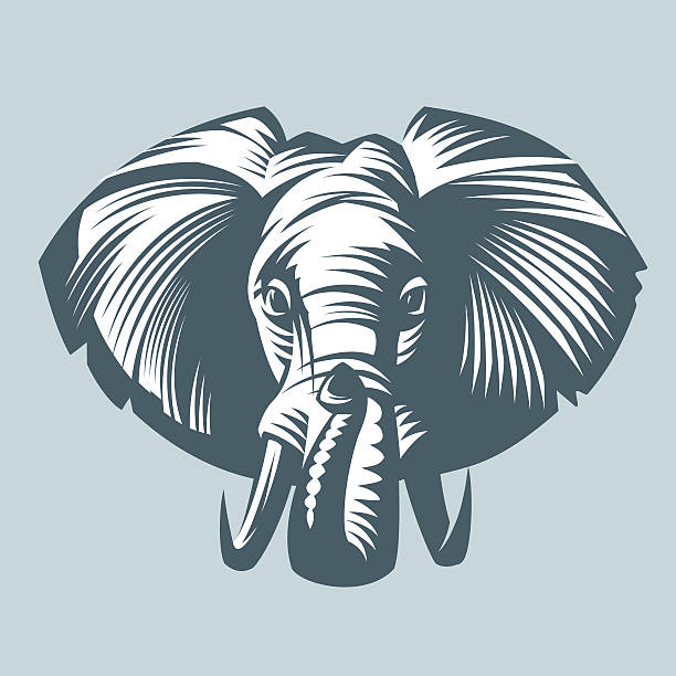 Elefante - ilustração de arte em vetor