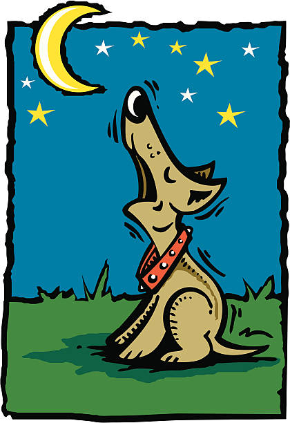 собака, воющие на луну - ian stock illustrations