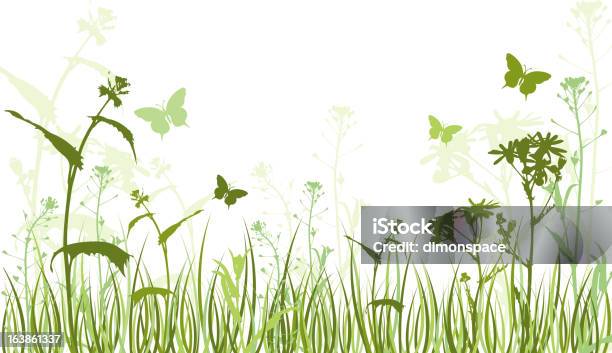 Sfondo Verde Floreale - Immagini vettoriali stock e altre immagini di Cavolaia minore - Cavolaia minore, Colore verde, Erba