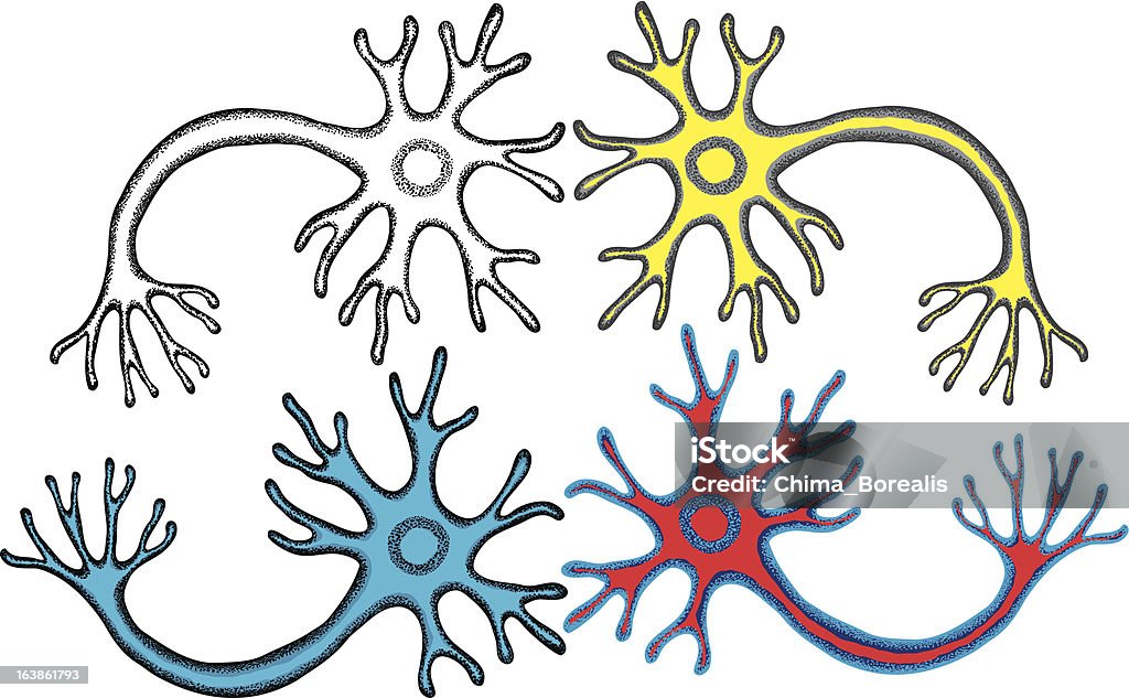 Multipolare Nerzenzelle - Lizenzfrei Axon Vektorgrafik