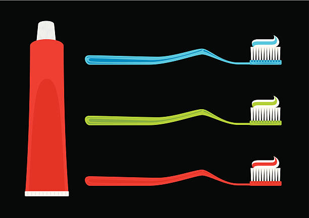 tootbrush vector art illustration
