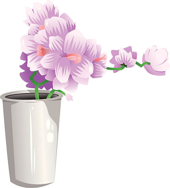 Orchidea - illustrazione arte vettoriale