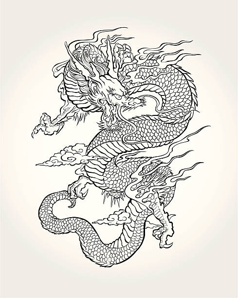 traditionelle asiatische drache - dragon stock-grafiken, -clipart, -cartoons und -symbole
