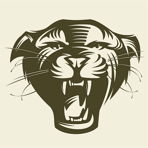 Panthers cabeça. - ilustração de arte em vetor