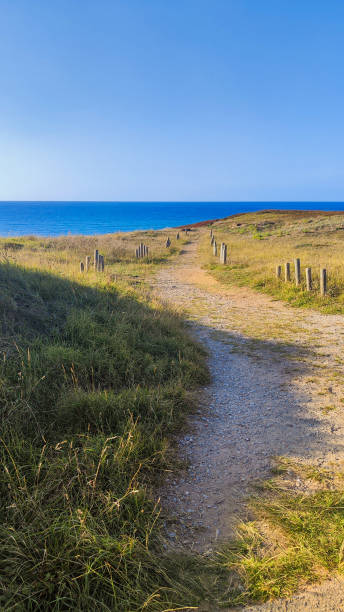 istock path to the beach and cliff with wooden stakes indicating the path 1638650721