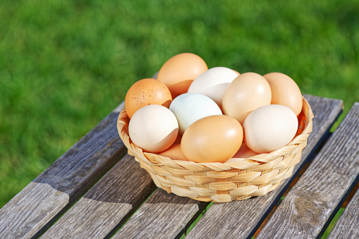 Chicken eggs on the background of green grass