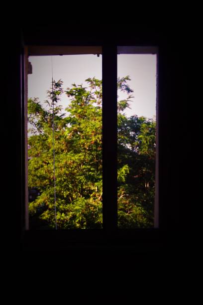 istock Green trees are visible through the window with dark walls 1638682782
