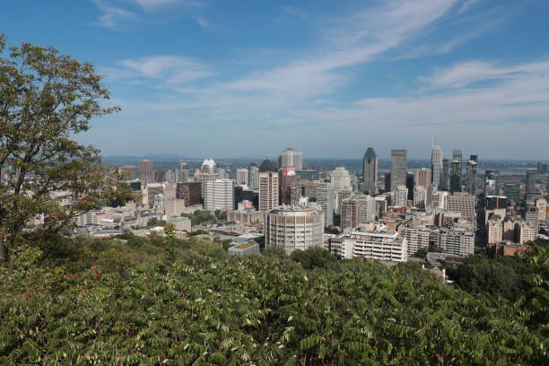 istock Montreal skyline from mount royal 1638712756