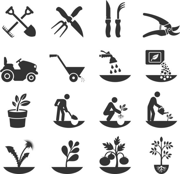 Summer Gardening and Farming Crops with Equipment Gardening and Farming Crops with Equipment black & white icon set  farmer symbols stock illustrations