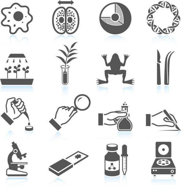 Biology and Scientific Innovation black & white vector icon set Biology and Scientific Innovation black & white icon set dissected flower stock illustrations