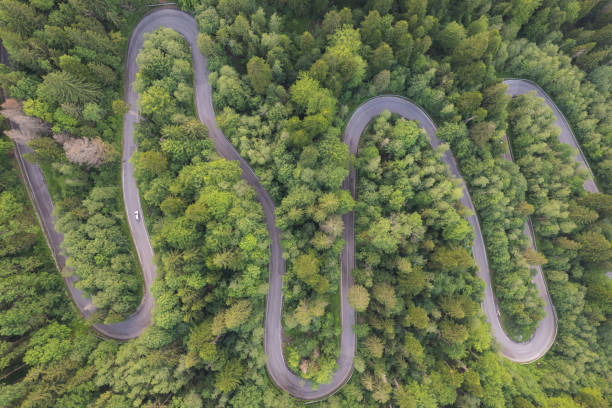 istock Aerial view above Transbucegi mountain road 1638739606
