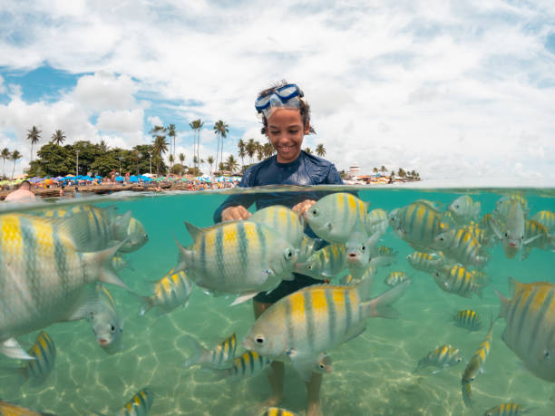 istock Child bathing with tropical fish on beach 1638760897