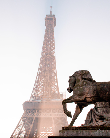 statue of a horse with Eiffel Tower in the background in Paris, Île-de-France, France