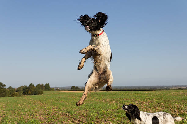 istock Head and shoulders above the rest 163877628