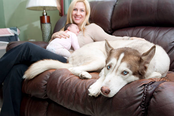 Mother holding baby girl, sitting in sofa with dog stock photo