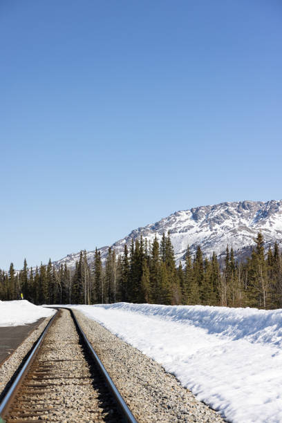 Denali Star train track in Denali, Alaska in Denali Park, Alaska, United States