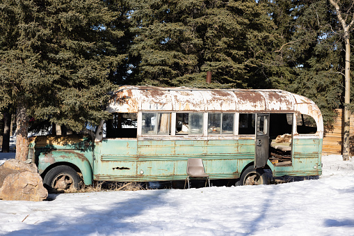 Into the Wild Movie Prop Bus in Alaska in Denali Park, Alaska, United States
