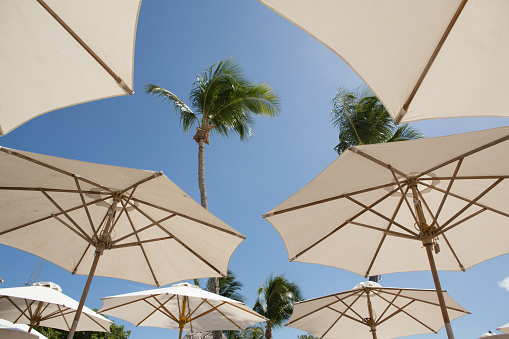 Many sun umbrellas with Sky and Palm trees in Key West, Florida, United States