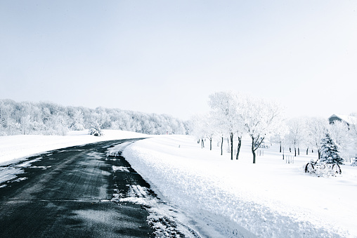 Beautiful winter scene along country road. in Rockford, Minnesota, United States
