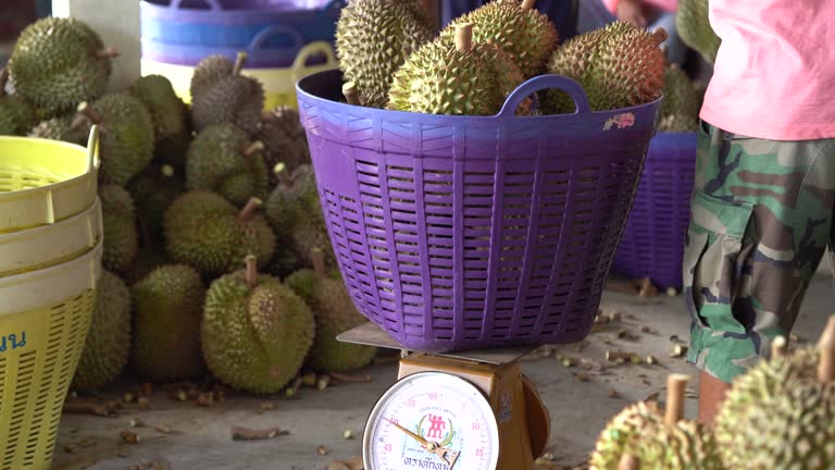 King Fruit - Bunch Of Fresh Durians In The Floor And Baskets