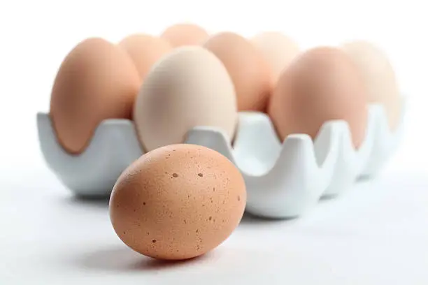 Ceramic egg holder with one brown chicken eggs. Shallow dof