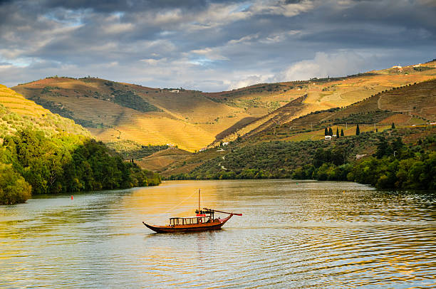 A traditional Portuguese rabelo boat cruising down the Duoro River, Portugal.  Terraced vineyards cover the hills next to the river.