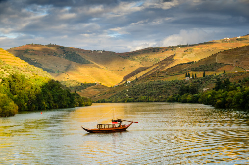 A traditional Portuguese rabelo boat cruising down the Duoro River, Portugal.  Terraced vineyards cover the hills next to the river.