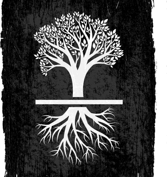 illustrations, cliparts, dessins animés et icônes de arbre avec des racines sur fond noir vectorielles libres de droits - root tip