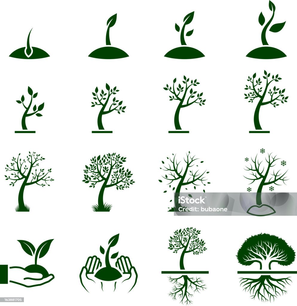 Tree Growing Process green royalty free vector icon set Tree Growing Process Tree stock vector