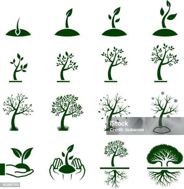 Tree Growing Process Green Royalty Free Vector Icon Set Stock Illustration - Download Image Now