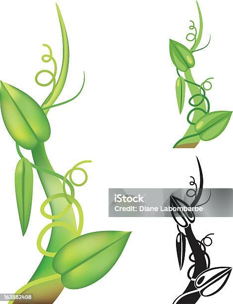 Einfache Beanstalk Stock Vektor Art und mehr Bilder von Bohnenranke - Bohnenranke, Illustration, ClipArt